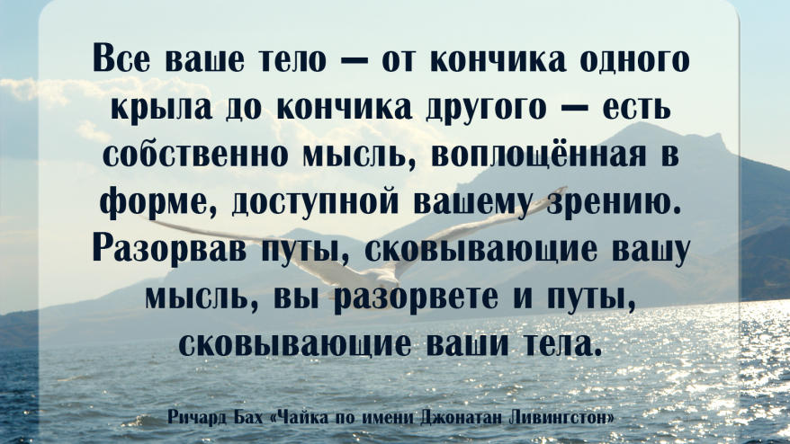 Чайка по имени Джонатан Ливингстон