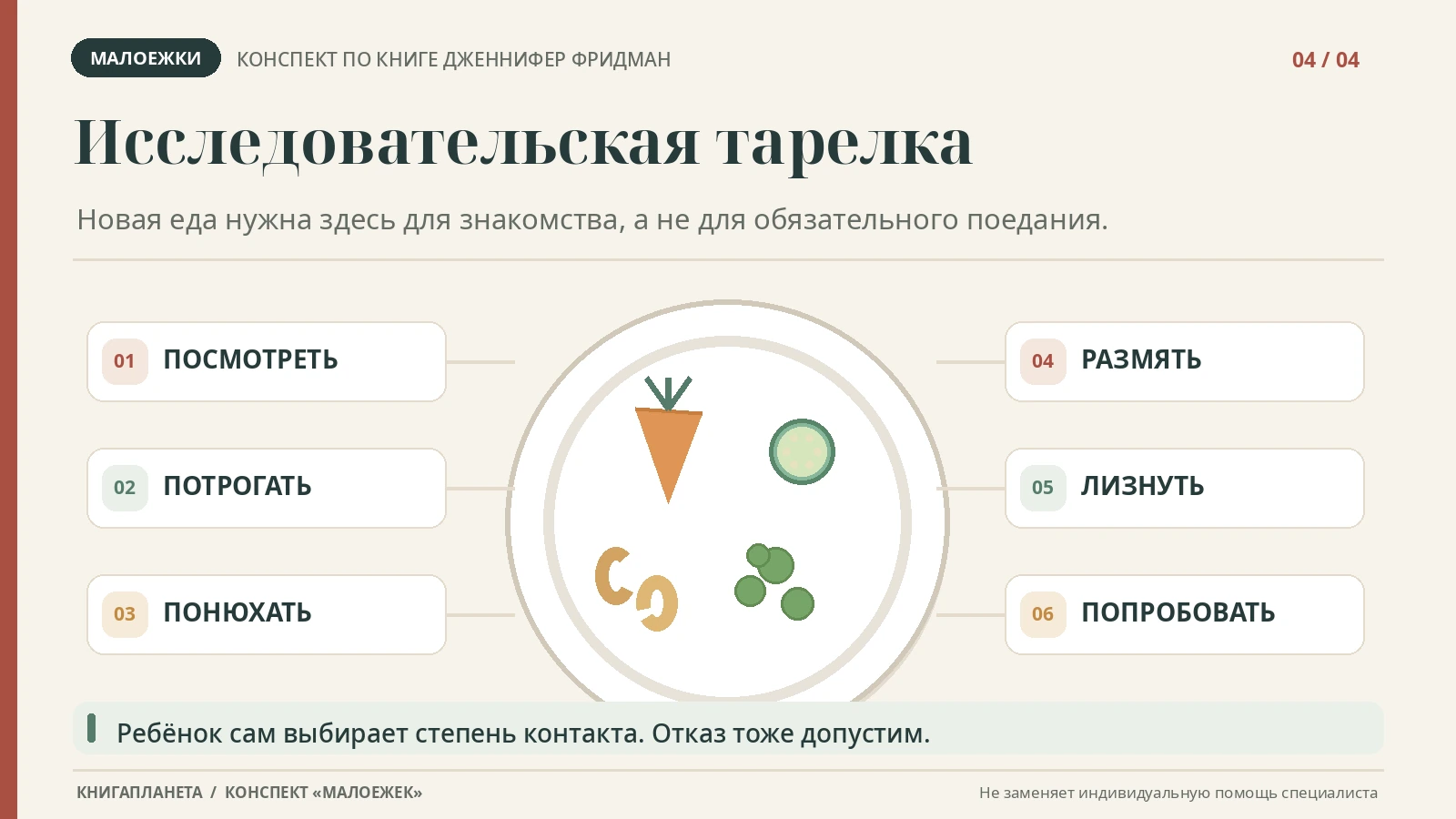 Исследовательская тарелка: как знакомиться с продуктами без обязательного поедания